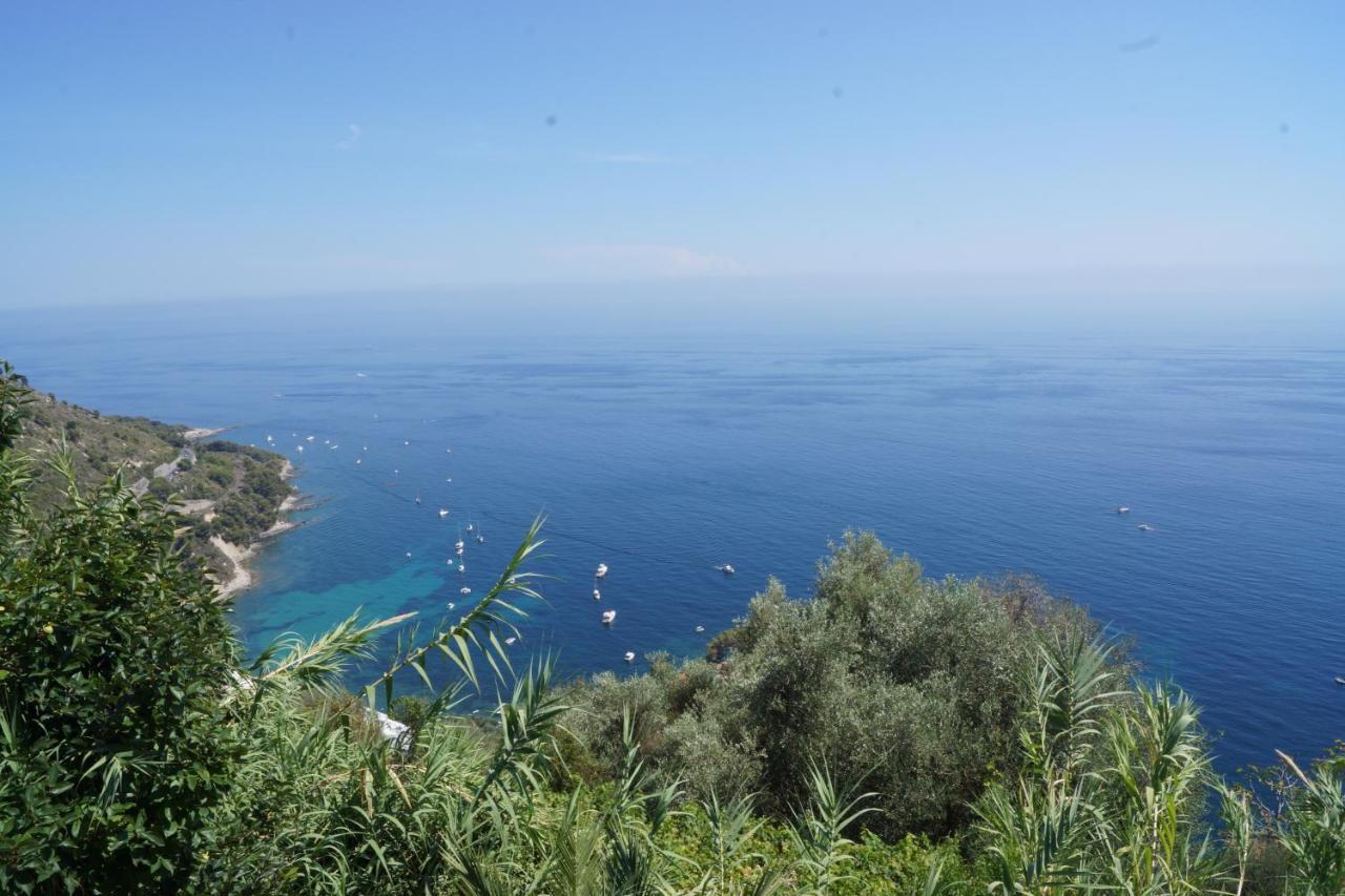 Total Sea View Grimaldi Leilighet Ventimiglia Eksteriør bilde